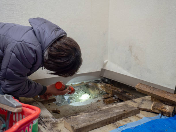 Best Mold Prevention Services  in Dresser, WI