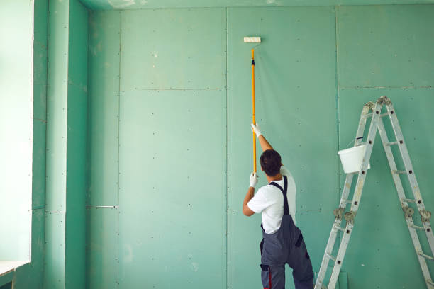Best Water Damage & Mold Remediation  in Dresser, WI