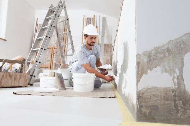 Best Crawl Space Mold Remediation  in Dresser, WI