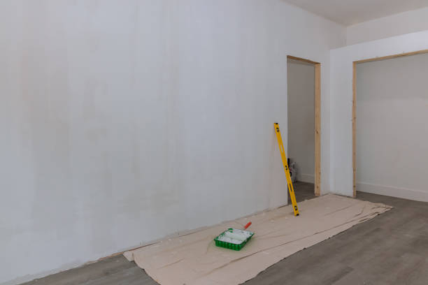 Best Mold Odor Removal Services  in Dresser, WI