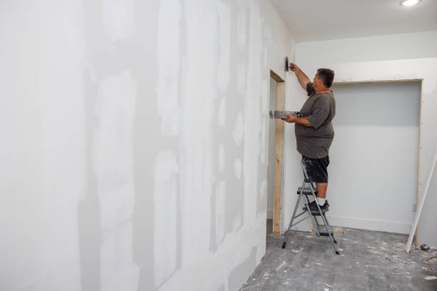 Reliable Dresser, WI Mold Removal Solutions