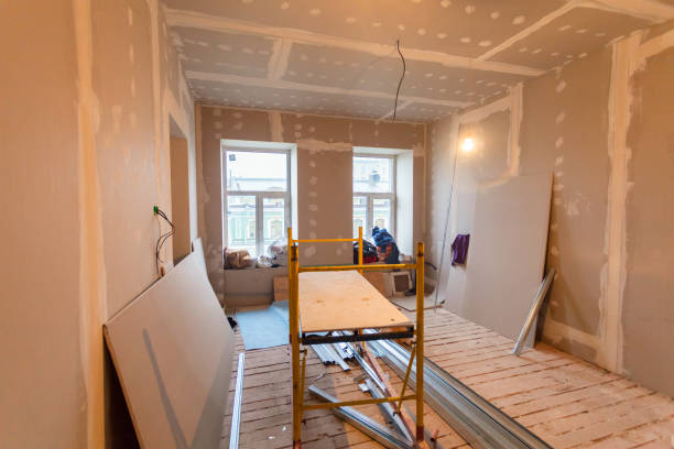 Best Attic Mold Removal  in Dresser, WI