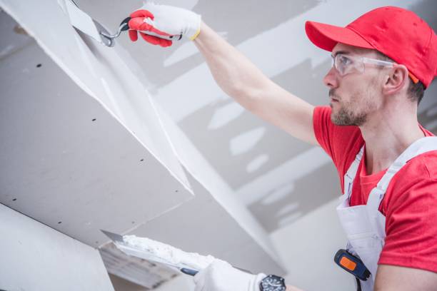 Best Commercial Mold Inspection  in Dresser, WI